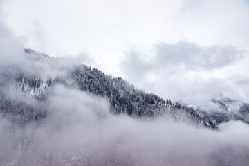 snow-covered mountain forest with fog in Himachal Pradesh India. pine trees full of snow on 25 degrees tilted-surface mountain edge | Himachal Pradesh weather | Heavy snowfall in Himachal Pradesh