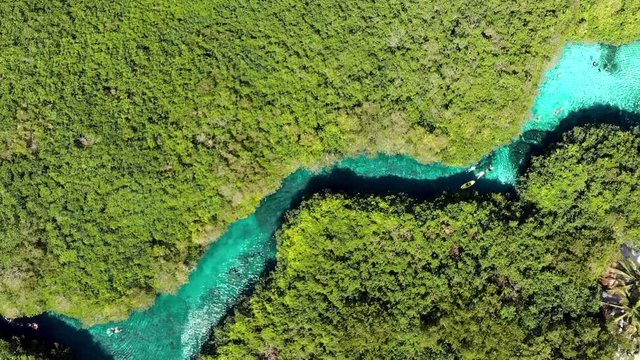 Aerial of people swimming in the casa cenote (Cenote Manat&iacute;), Quintana Roo, Mexico