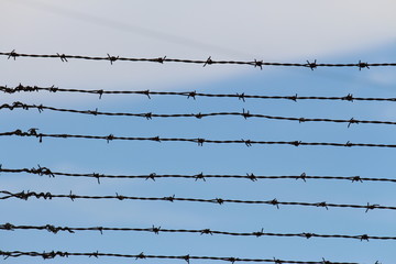 Barbed wire on a blue sky background