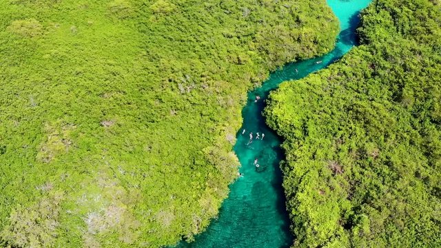 Aerial of people swimming in the casa cenote (Cenote Manat&iacute;), Quintana Roo, Mexico