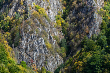 Rock cliff covered with autumn forest