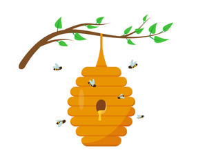 Bee hive with honey on the tree branch