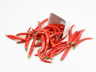 red hot chili peppers