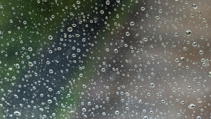 Naklejka na ściany i meble Raindrops on the window. Blur background of the street road and trees