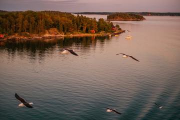 Red summer mokki cabins in Turku archipelago