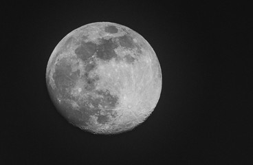 Confinement status coronavirus!