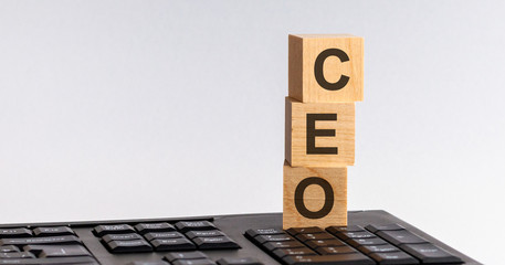 CEO - Executive General Director- text on wooden cubes, on wooden background, located on the...