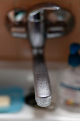 A dewy rooster by the bathtub with a strainer in the background.