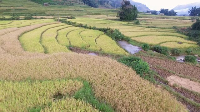 Aerial view of beautiful Cat Cat village in Sapa, Lao Cai, Vietnam