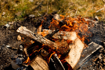 Bonfire in the forest. An isolated campfire burning on sunny afternoon. The wood is a little wet...