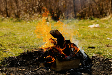 Bonfire in the forest. An isolated campfire burning on sunny afternoon. The wood is a little wet...