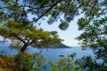 Fototapeta na wymiar Panoramic view of the sea bay through pine branches. Seascape in the Marmaris area.