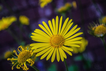 Photography escapade