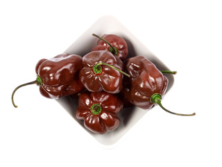 brown habanero chili peppers, isolated on white