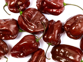 brown habanero chili peppers, isolated on white