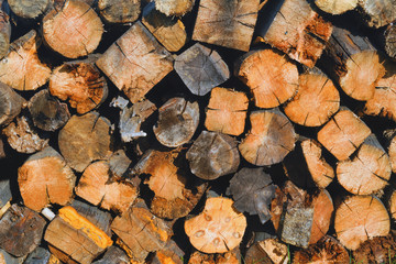 Pile of firewood on a heap. Diversity coniferous and deciduous stacks of firewood.