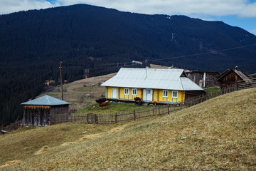 Landscape Freeride in the wild Carpathian mountain near big rocks.