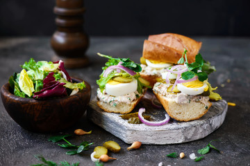 Tuna salad sandwich.style rustic.