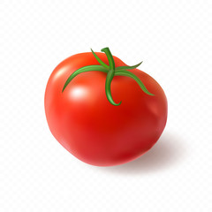 Big red juicy ripe tomato. Premium vector.
