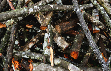 Pile of cut wood in different sizes and textures for burning or other several uses.