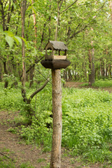 Bird feeders. Birdhouse on the tree. Food for birds. Bird feeders.