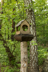 Birdhouse on the tree. Food for birds. Bird feeders.