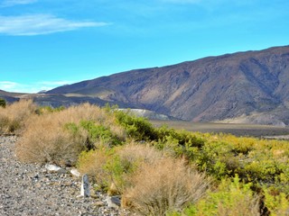 VEGETACIÓN Y MONTAÑAS