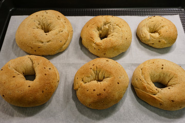 Sweet Italian anise-seed donuts, or bracciatelli, on baking sheet just out of the oven.