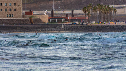 Surfing at Cicer Beach at sunset, Las Palmas de Gran Canaria