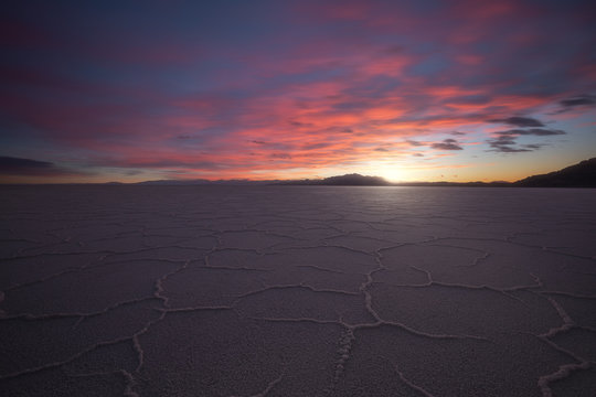Salt polygons.