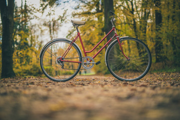 Fototapeta premium Side photo of old vintage bicycle parked on a path in a park between leaves trees and other foliage. Concept of outdoor activities or commuting during a romantic season.