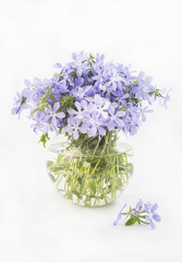 bunch of violet in a round vase