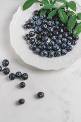 Fresh juicy blueberries in a white plate with green leaves on a white background. 
