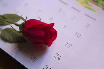 A cloth flower on a calendar sheet