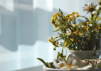wild flowers against a white curtain