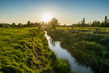 Beautiful English countryside rural farm view, mosqito swarm hatching season, sunny spring evening,...