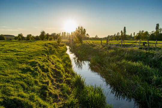 Beautiful English countryside rural farm view, mosqito swarm hatching season, sunny spring evening, bugs emerging from river, insects flying above the water, photo with lens flare