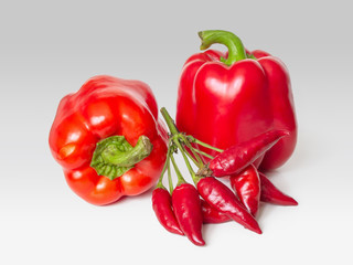 Two red bell peppers and hot red chili pods on a branch