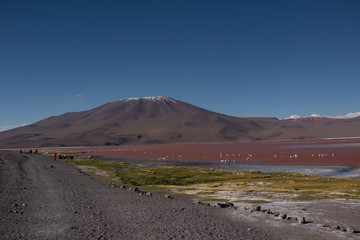 Laguna Colorada, Bolivia