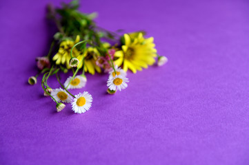 Wildflowers in a yellow envelope on a purple background. Selective focus.
