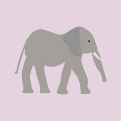 Cute grey elephant illustration, childrens nursery room print or postcard