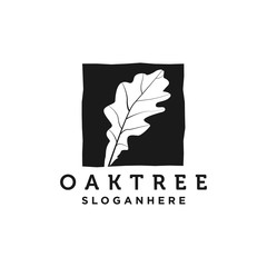 Oak leaf  tree  logo design vector