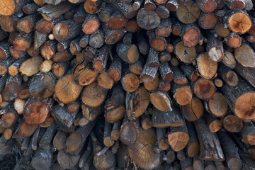 Apilado de troncos de madera para utilizar como leña