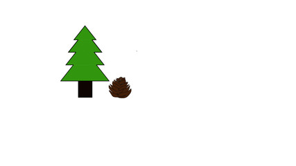 Pine with pinecone