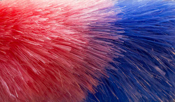 The hairs on PP Duster red and blue.