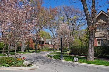 Older suburban residential street in spring with flowering trees and large brick houses