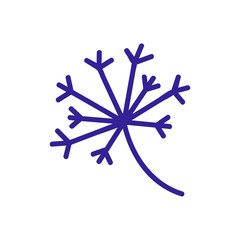 overripe dill inflorescence icon vector. overripe dill inflorescence sign. color symbol illustration