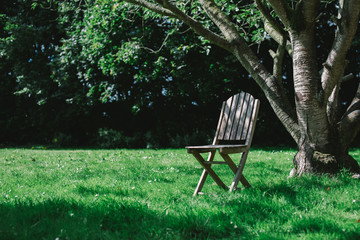 Chair under the tree