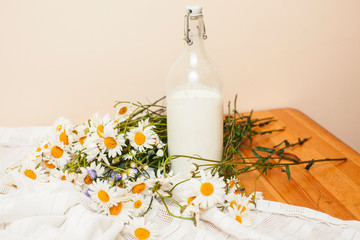 Simply stylish wooden kitchen with bottle of milk and glass on table, summer flowers camomile, healthy foog moring concept