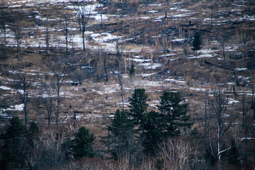 mountains in winter